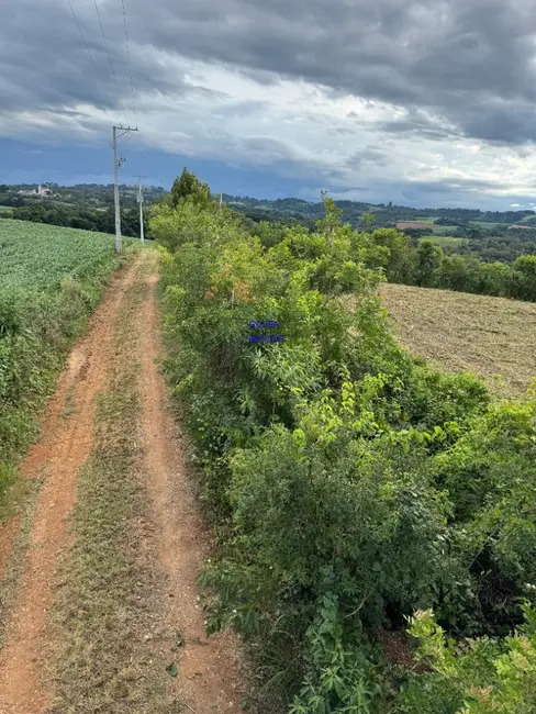 Chácara com 1 quarto à venda, 5800m2 em Contenda - PR - imagem 3 Foto 3 de Chácara com 1 quarto à venda, 5800m2 em Contenda - PR
