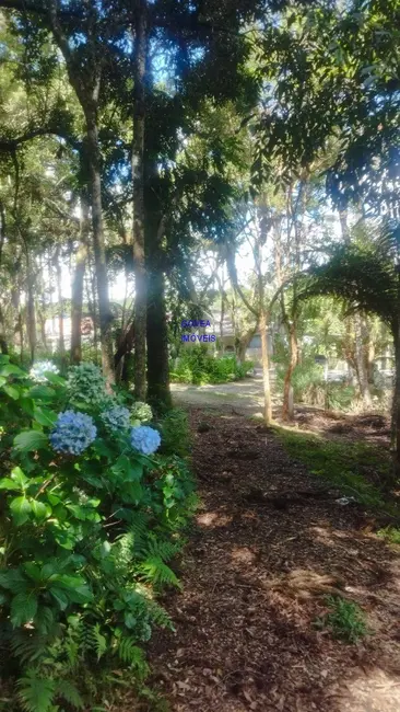 Foto 2 de Terreno / Lote com 3 quartos à venda, 180m2 em Borda do Campo, Sao Jose Dos Pinhais - PR