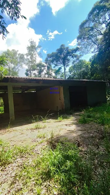 Foto 5 de Terreno / Lote com 3 quartos à venda, 180m2 em Borda do Campo, Sao Jose Dos Pinhais - PR