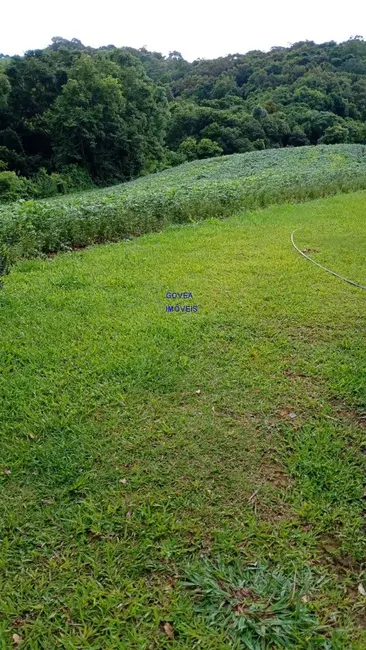 Foto 6 de Chácara com 3 quartos à venda, 75m2 em Contenda - PR