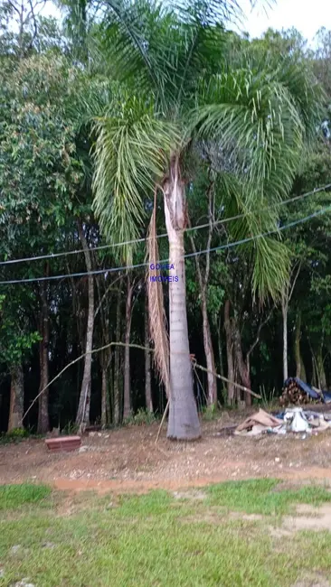 Foto 3 de Chácara com 3 quartos à venda, 75m2 em Contenda - PR