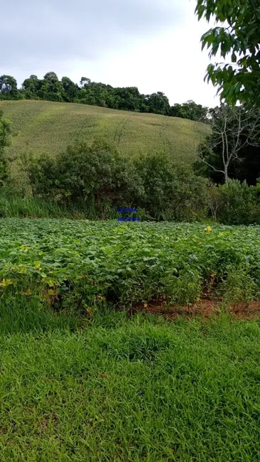 Foto 4 de Chácara com 3 quartos à venda, 75m2 em Contenda - PR