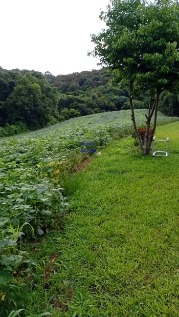 Foto 7 de Chácara com 3 quartos à venda, 75m2 em Contenda - PR