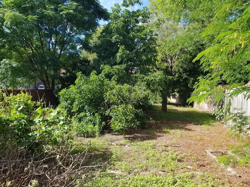 Foto 6 de Casa com 4 quartos à venda, 250m2 em Centro, Alegrete - RS