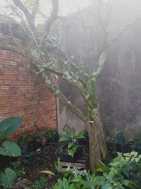 Foto 5 de Casa com 3 quartos à venda, 80m2 em Saudade, Alegrete - RS