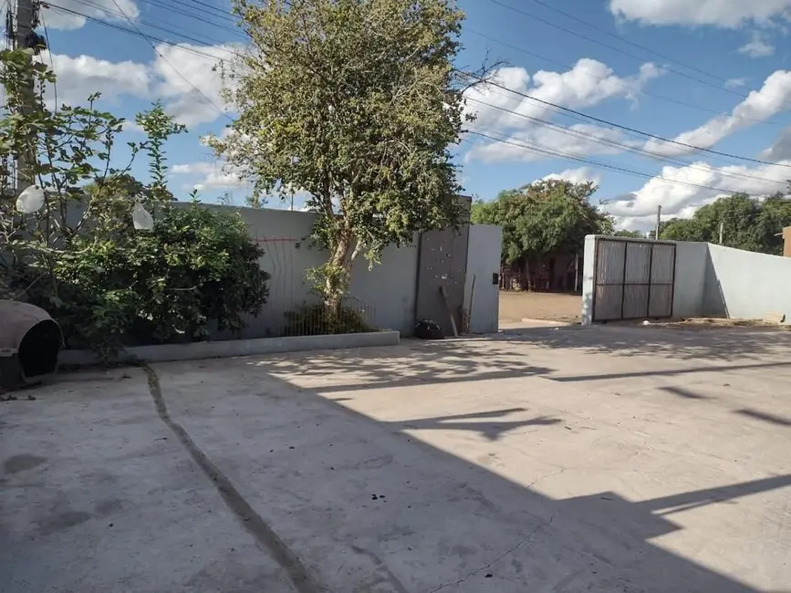 Foto 7 de Casa com 3 quartos à venda em Prado, Alegrete - RS