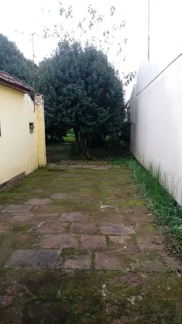 Foto 3 de Casa com 1 quarto à venda, 300m2 em Assunção, Alegrete - RS