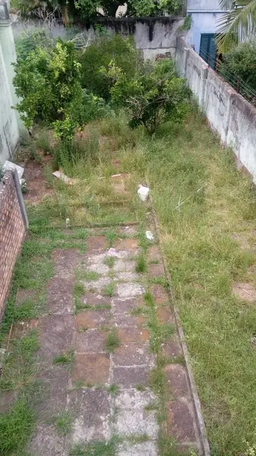 Foto 4 de Casa com 4 quartos à venda em Centro, Alegrete - RS