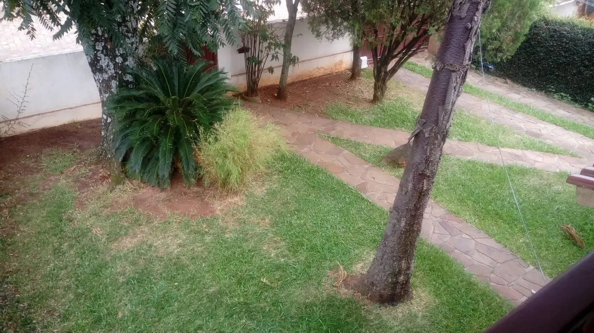 Foto 8 de Casa com 8 quartos à venda em Cidade Alta, Alegrete - RS