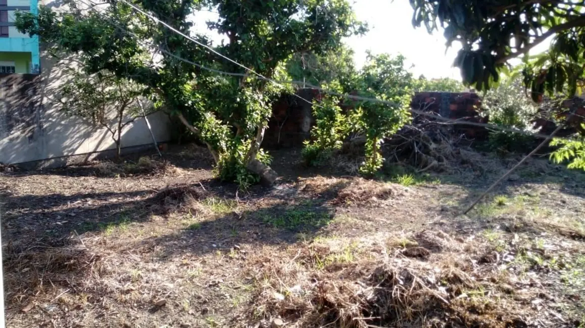 Foto 8 de Casa com 2 quartos à venda em Ibirapuitã, Alegrete - RS