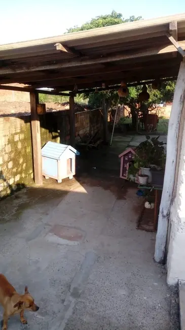 Foto 9 de Casa com 3 quartos à venda em Centenário, Alegrete - RS