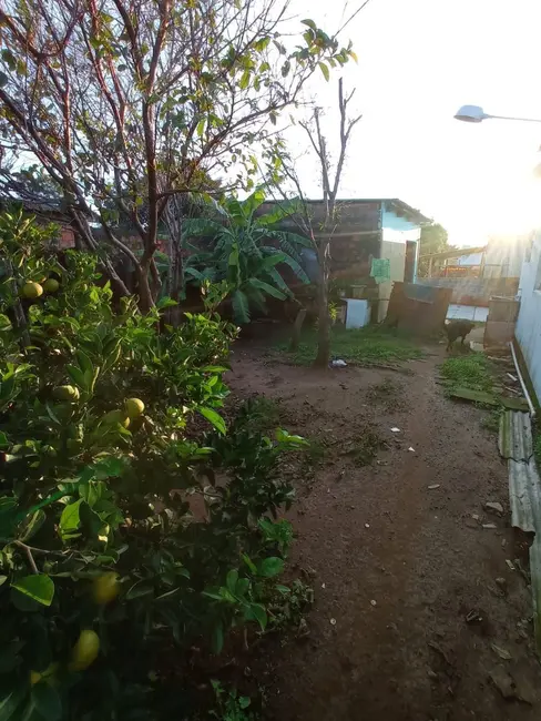 Foto 8 de Casa com 2 quartos à venda, 420m2 em Dr. Romário A de Oliveira, Alegrete - RS