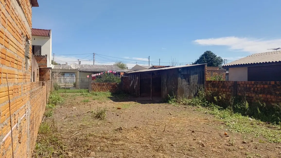 Foto 3 de Terreno / Lote à venda, 250m2 em Favila, Alegrete - RS