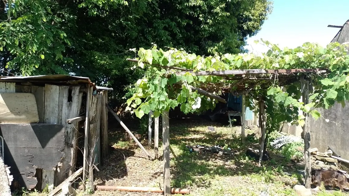 Foto 6 de Terreno / Lote à venda, 300m2 em Capão do Angico, Alegrete - RS