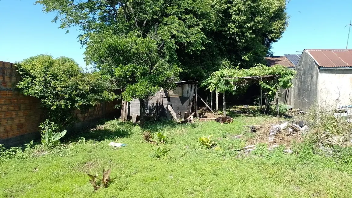 Foto 8 de Terreno / Lote à venda, 300m2 em Capão do Angico, Alegrete - RS