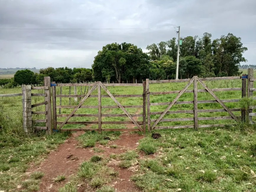 Foto 5 de Chácara com 1 quarto à venda, 30000m2 em Alegrete - RS