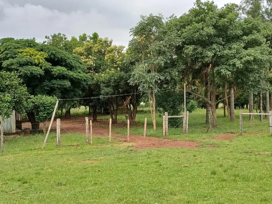 Foto 7 de Chácara com 1 quarto à venda, 30000m2 em Alegrete - RS
