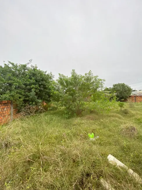 Foto 3 de Terreno / Lote à venda, 250m2 em Capão do Angico, Alegrete - RS