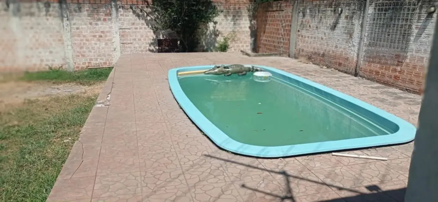 Foto 4 de Casa com 4 quartos à venda, 95m2 em Centro, Alegrete - RS