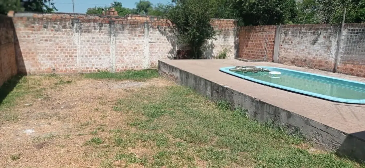 Foto 5 de Casa com 4 quartos à venda, 95m2 em Centro, Alegrete - RS