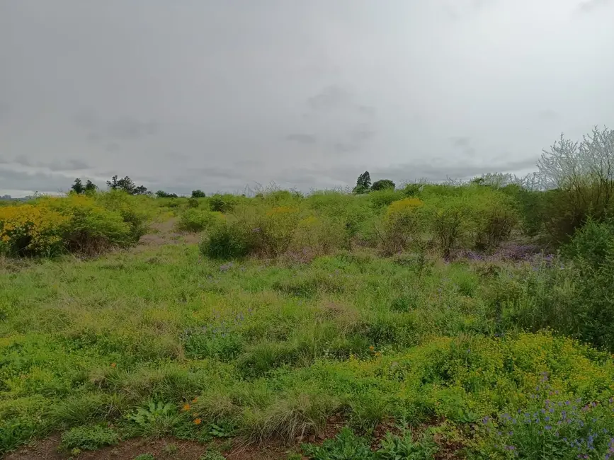 Foto 6 de Terreno / Lote à venda, 200m2 em Saint Pastous, Alegrete - RS
