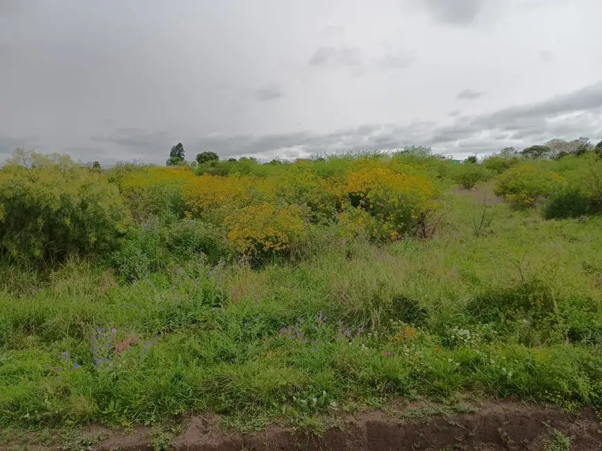 Foto 8 de Terreno / Lote à venda, 200m2 em Saint Pastous, Alegrete - RS