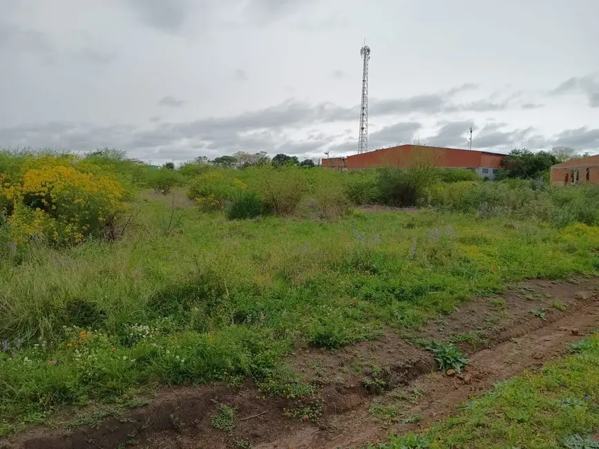 Foto 7 de Terreno / Lote à venda, 200m2 em Saint Pastous, Alegrete - RS