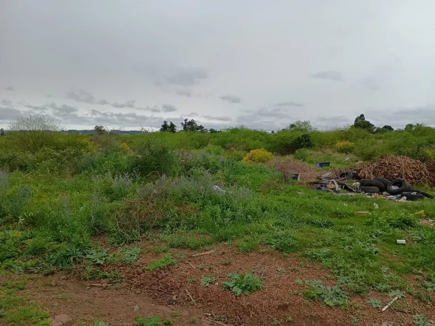 Foto 5 de Terreno / Lote à venda, 200m2 em Saint Pastous, Alegrete - RS