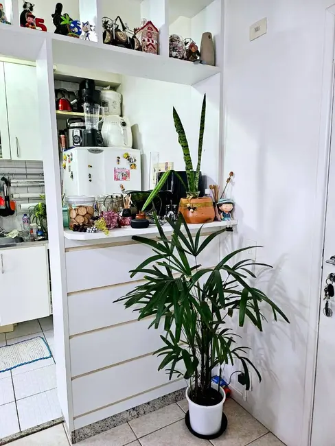 Foto 5 de Apartamento com 2 quartos à venda, 48m2 em Interlagos, São Paulo - SP