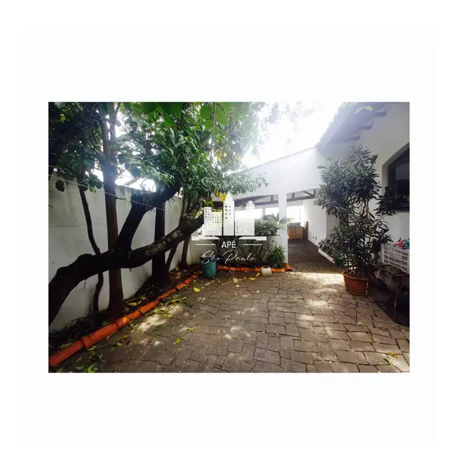 Casa com 3 quartos à venda, 181m2 em Lar São Paulo, São Paulo - SP - imagem 4 Foto 4 de Casa com 3 quartos à venda, 181m2 em Lar São Paulo, São Paulo - SP