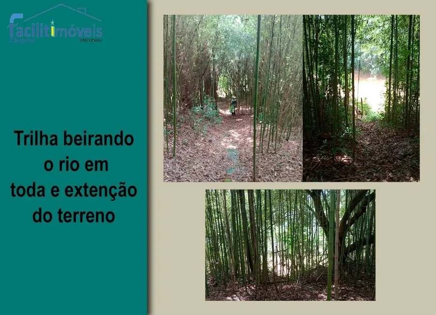 Chácara à venda, 15000m2 em Tupy, Itapetininga - SP - imagem 7 Foto 7 de Chácara à venda, 15000m2 em Tupy, Itapetininga - SP