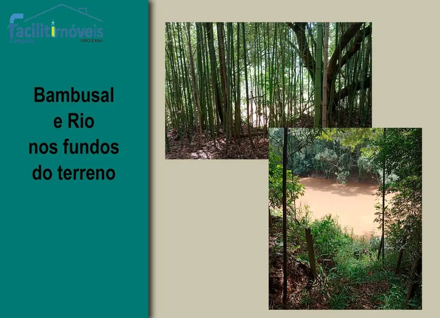 Chácara à venda, 15000m2 em Tupy, Itapetininga - SP - imagem 6 Foto 6 de Chácara à venda, 15000m2 em Tupy, Itapetininga - SP