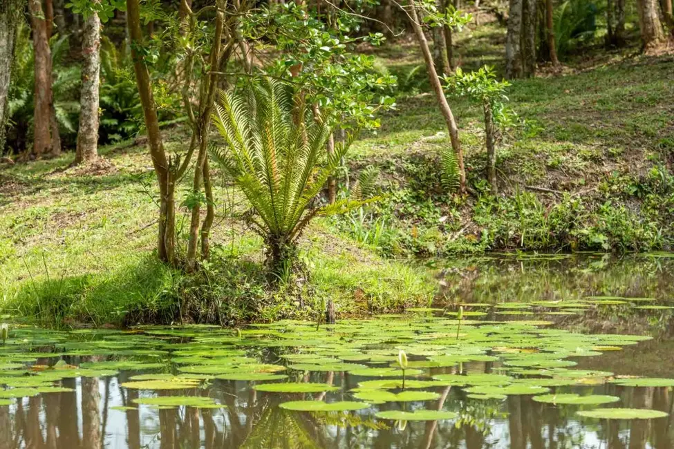 Foto 5 de Terreno / Lote à venda, 91250m2 em Camboriu - SC