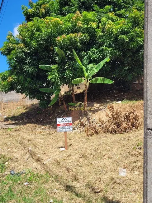 Terreno / Lote à venda, 293m2 em Espirito Santo Do Pinhal - SP - imagem 6 Foto 6 de Terreno / Lote à venda, 293m2 em Espirito Santo Do Pinhal - SP