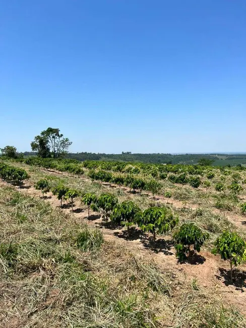 Foto 1 de Sítio / Rancho à venda, 123408m2 em Espirito Santo Do Pinhal - SP