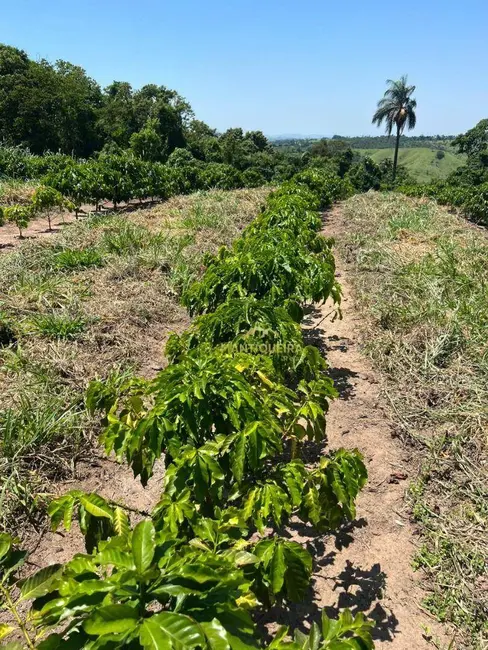 Foto 2 de Sítio / Rancho à venda, 123408m2 em Espirito Santo Do Pinhal - SP