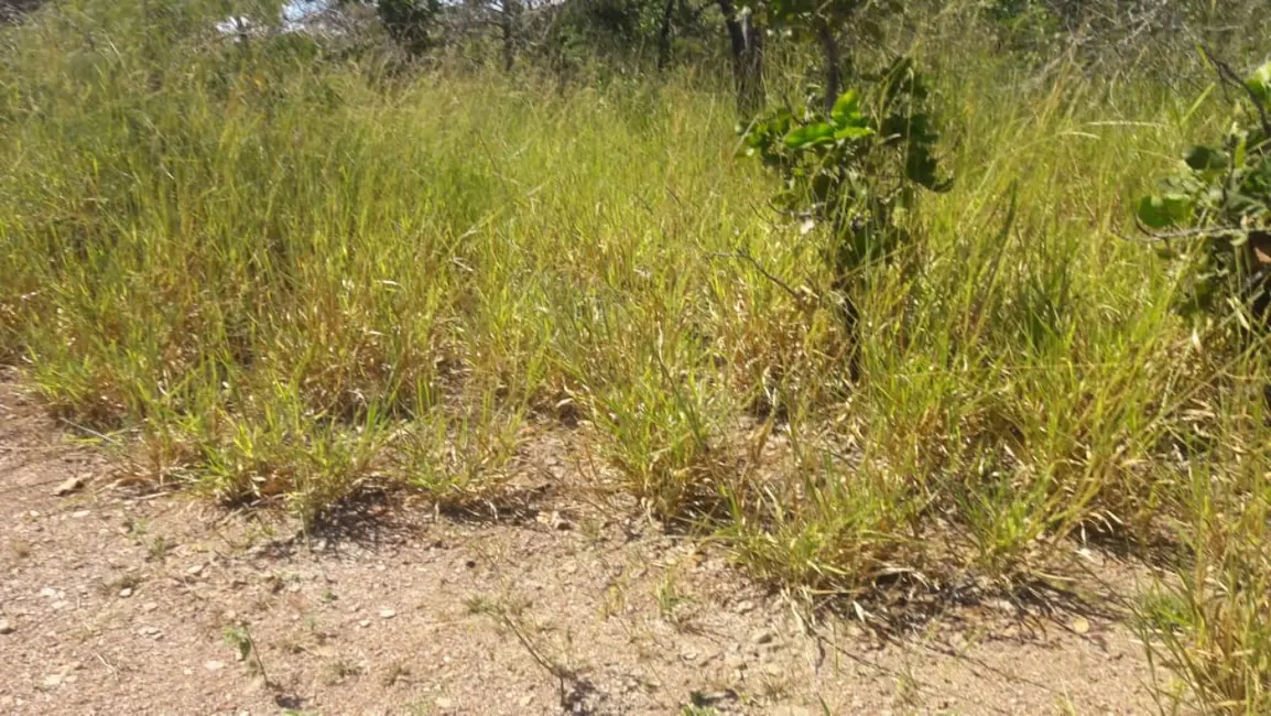 Foto 5 de Terreno / Lote à venda, 70000m2 em Padre Bernardo - GO