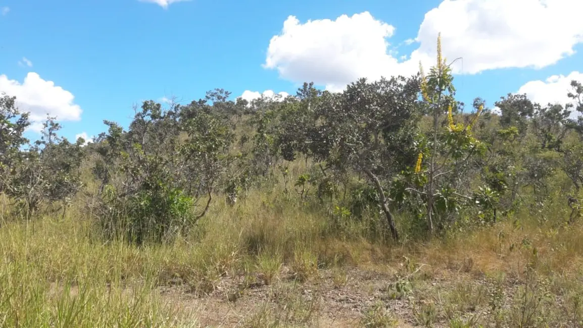 Foto 4 de Terreno / Lote à venda, 70000m2 em Padre Bernardo - GO
