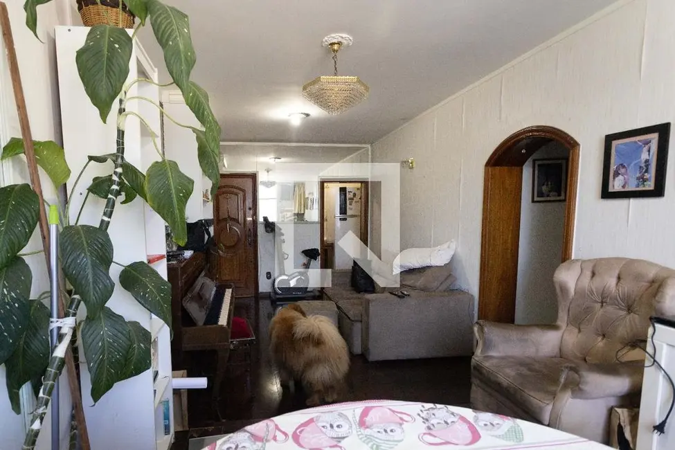 Apartamento com 3 quartos à venda, 100m2 em Botafogo, Rio De Janeiro - RJ - imagem 8 Foto 8 de Apartamento com 3 quartos à venda, 100m2 em Botafogo, Rio De Janeiro - RJ