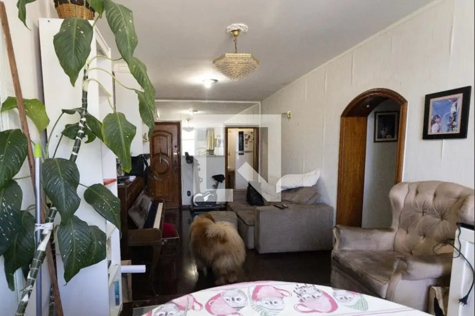 Apartamento com 3 quartos à venda, 100m2 em Botafogo, Rio De Janeiro - RJ - imagem 7 Foto 7 de Apartamento com 3 quartos à venda, 100m2 em Botafogo, Rio De Janeiro - RJ