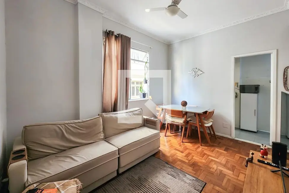 Apartamento com 1 quarto à venda, 48m2 em Laranjeiras, Rio De Janeiro - RJ - imagem 3 Foto 3 de Apartamento com 1 quarto à venda, 48m2 em Laranjeiras, Rio De Janeiro - RJ