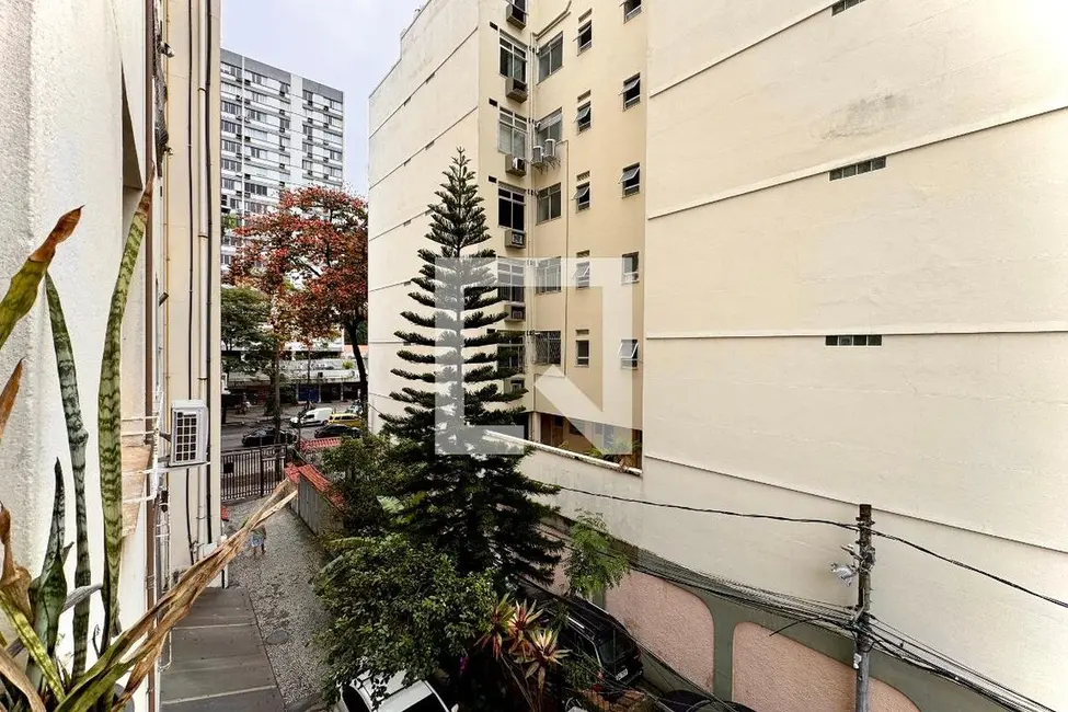 Apartamento com 4 quartos à venda, 140m2 em Laranjeiras, Rio De Janeiro - RJ - imagem 6 Foto 6 de Apartamento com 4 quartos à venda, 140m2 em Laranjeiras, Rio De Janeiro - RJ