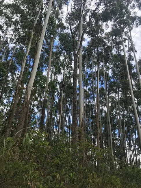 Foto 4 de Terreno / Lote à venda, 21482m2 em Castanho, Jundiai - SP