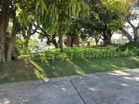 Imagem 26