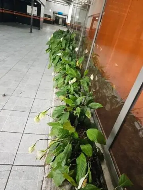 Foto 5 de Armazém / Galpão à venda e para alugar, 400m2 em Centro, Jundiai - SP