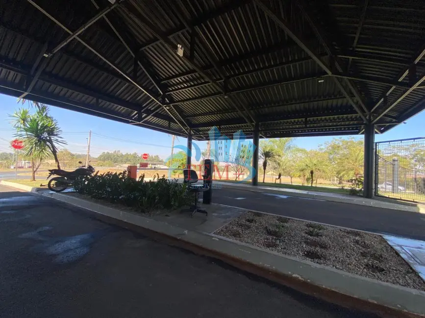 Foto 6 de Terreno / Lote à venda, 5000m2 em Sao Jose Do Rio Preto - SP