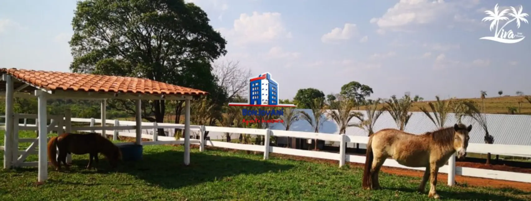 Foto 6 de Fazenda / Haras à venda, 70m2 em Mirassol - SP