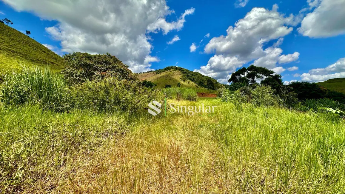 Foto 5 de Terreno / Lote à venda, 18000m2 em Juiz De Fora - MG