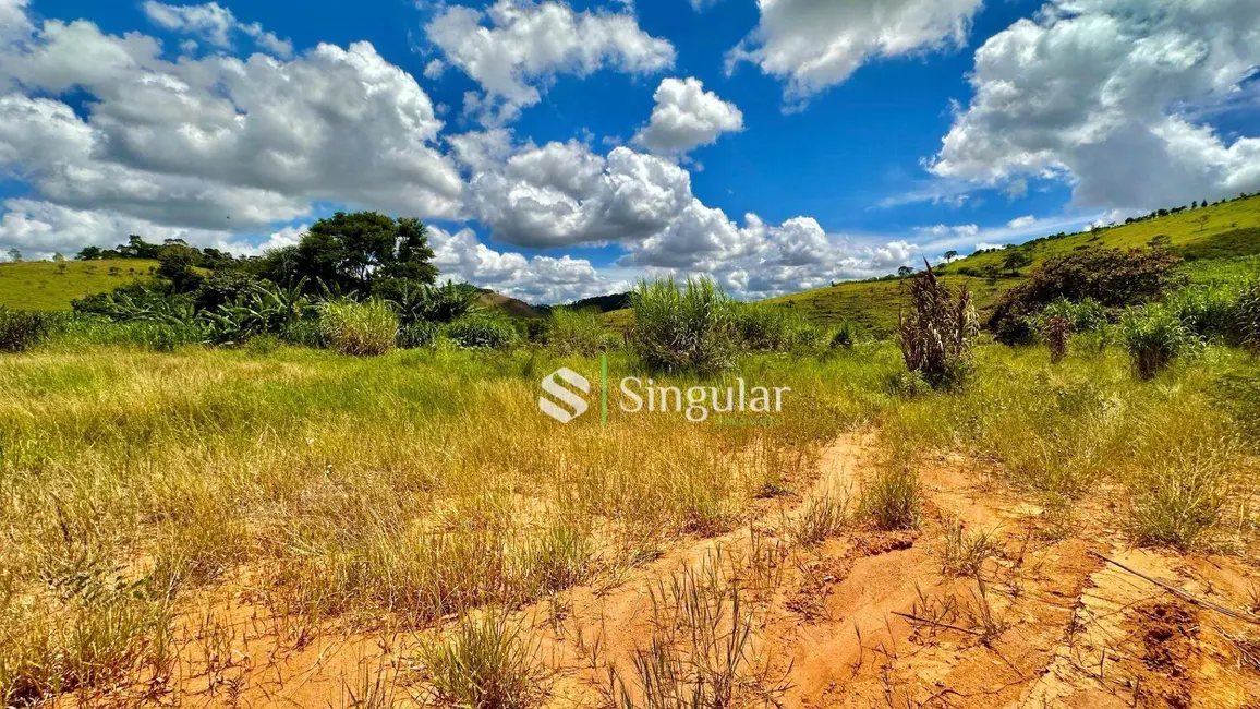 Foto 7 de Terreno / Lote à venda, 18000m2 em Juiz De Fora - MG