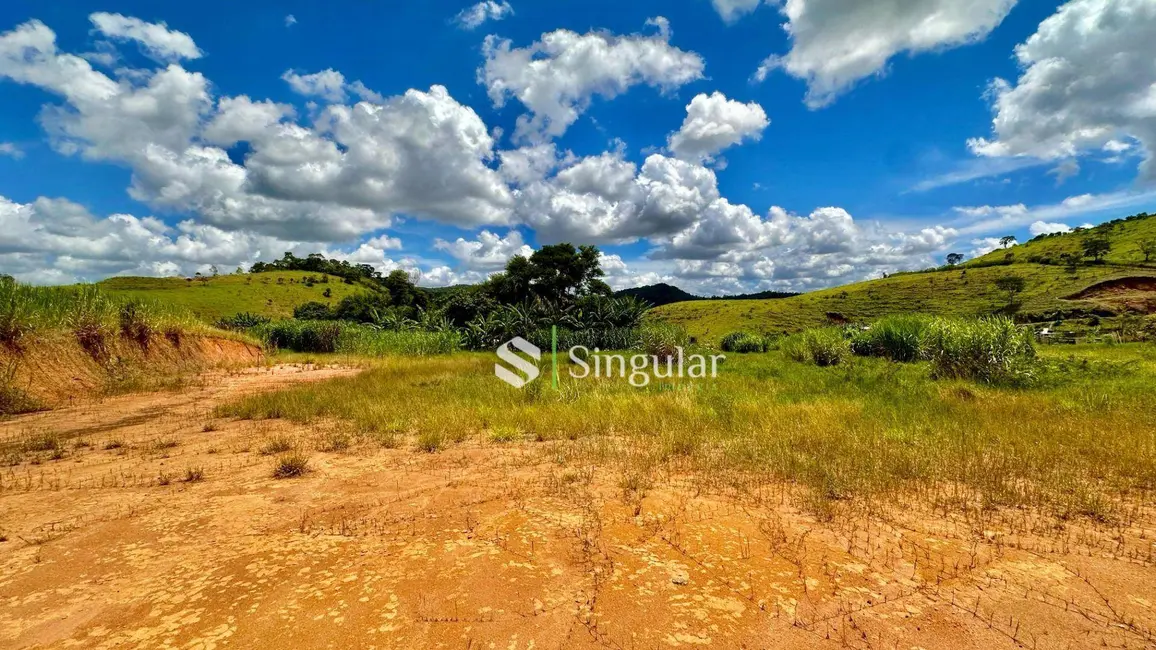 Foto 9 de Terreno / Lote à venda, 18000m2 em Juiz De Fora - MG